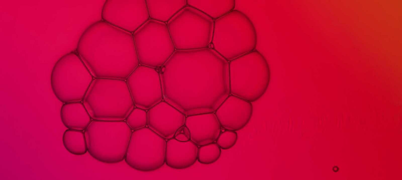 Seifenblasen Makroaufnahme vor rotem Hintergrund